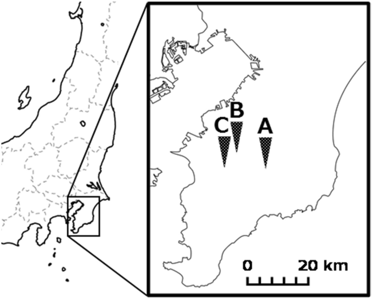 Fig. 1