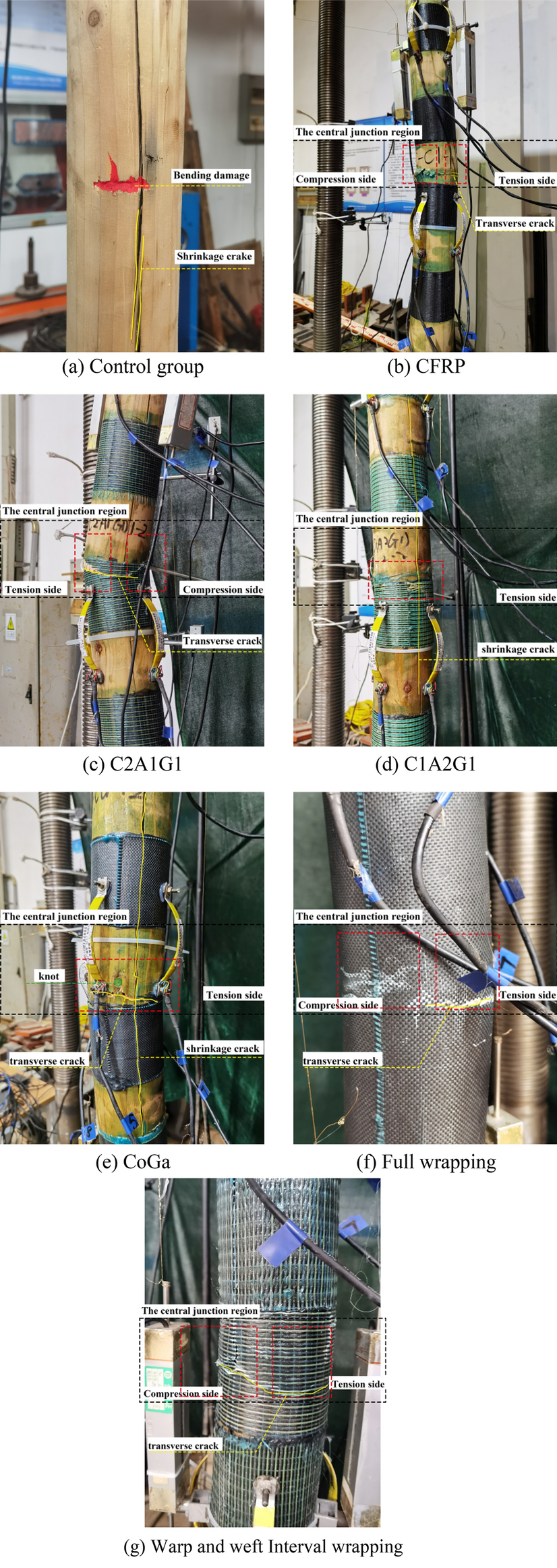 Fig. 11