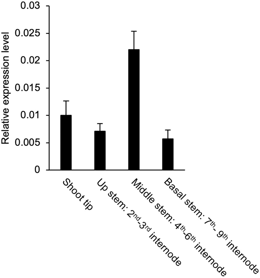 Fig. 2