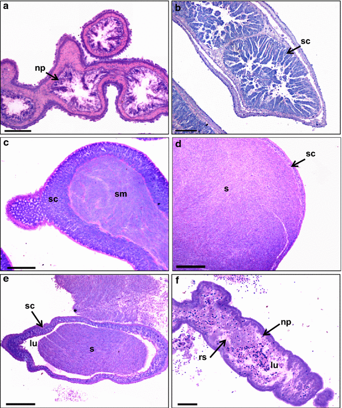 Fig. 6