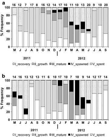 Fig. 7