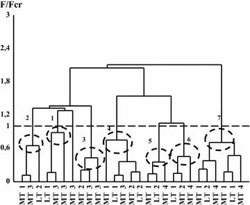 Fig. 7