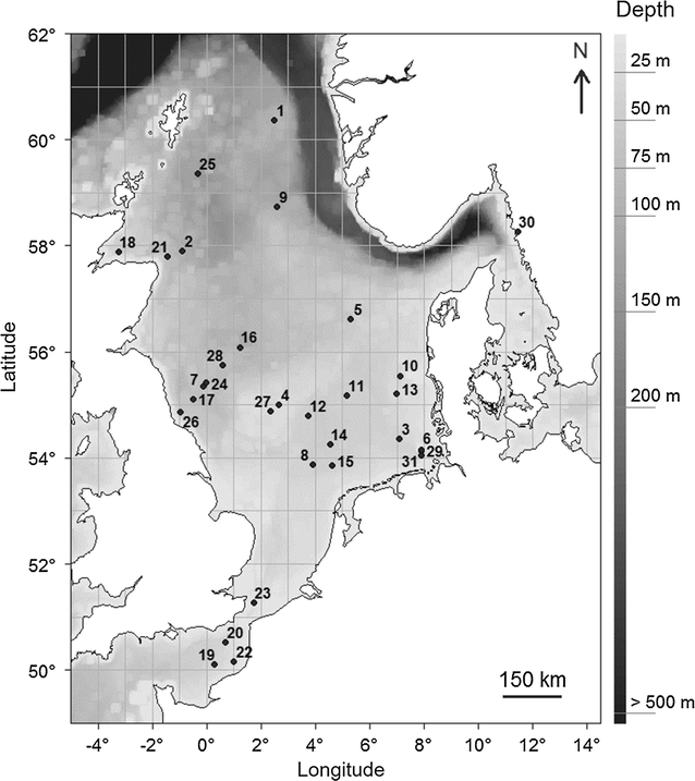 Fig. 1