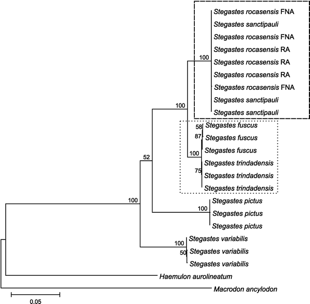 Fig. 6