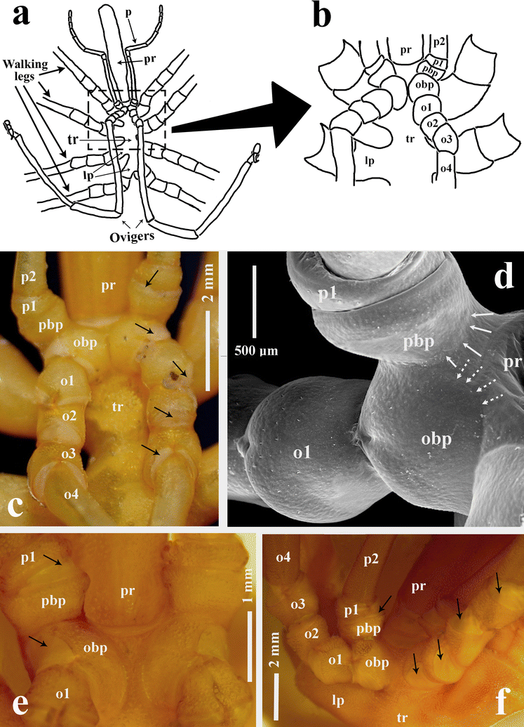 Fig. 1