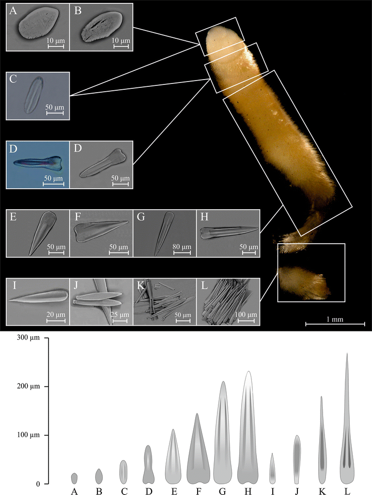 Fig. 9