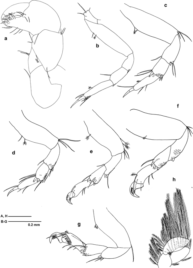 Fig. 4