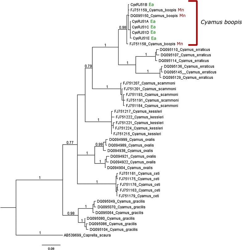 Fig. 2