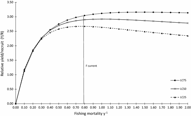 Fig. 6