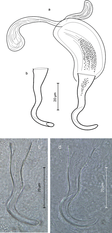 Fig. 11