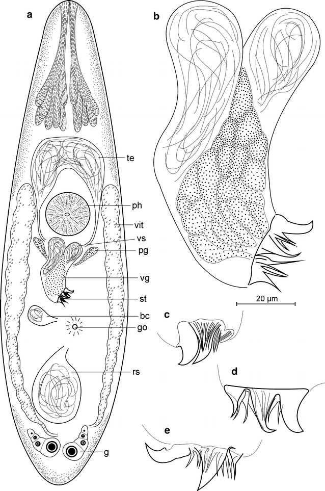 Fig. 13