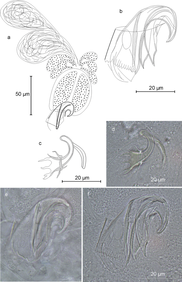 Fig. 15