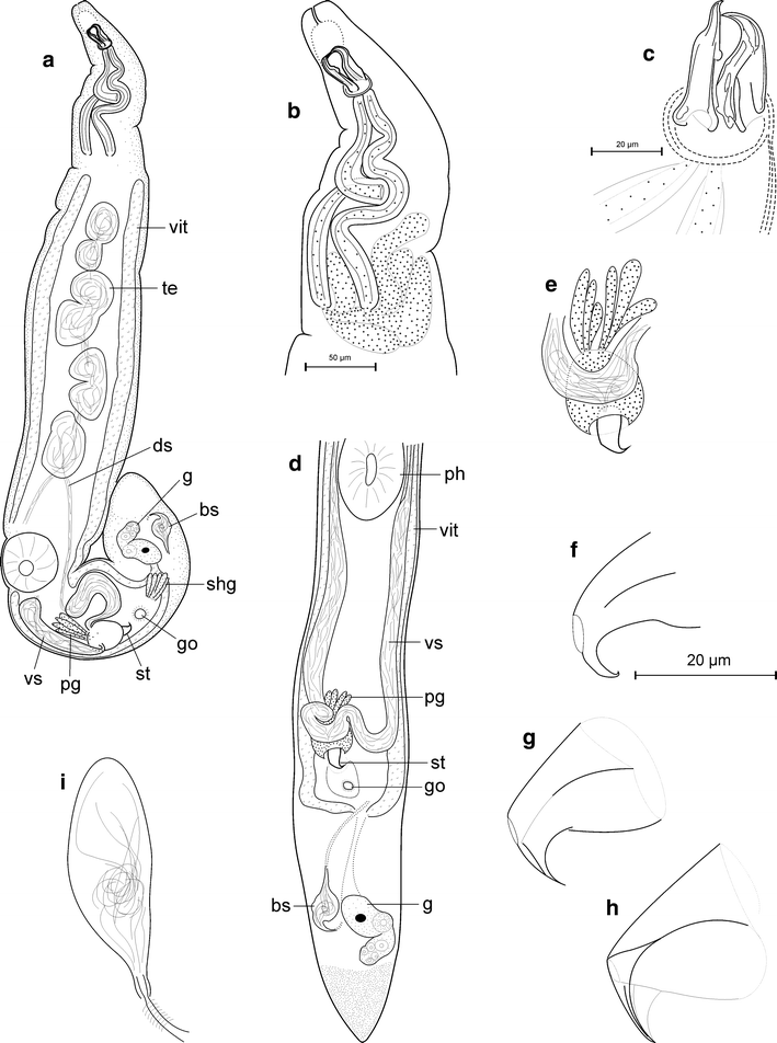 Fig. 16