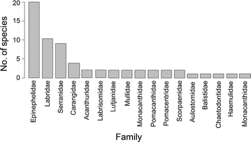 Fig. 1