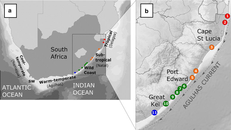 Fig. 1