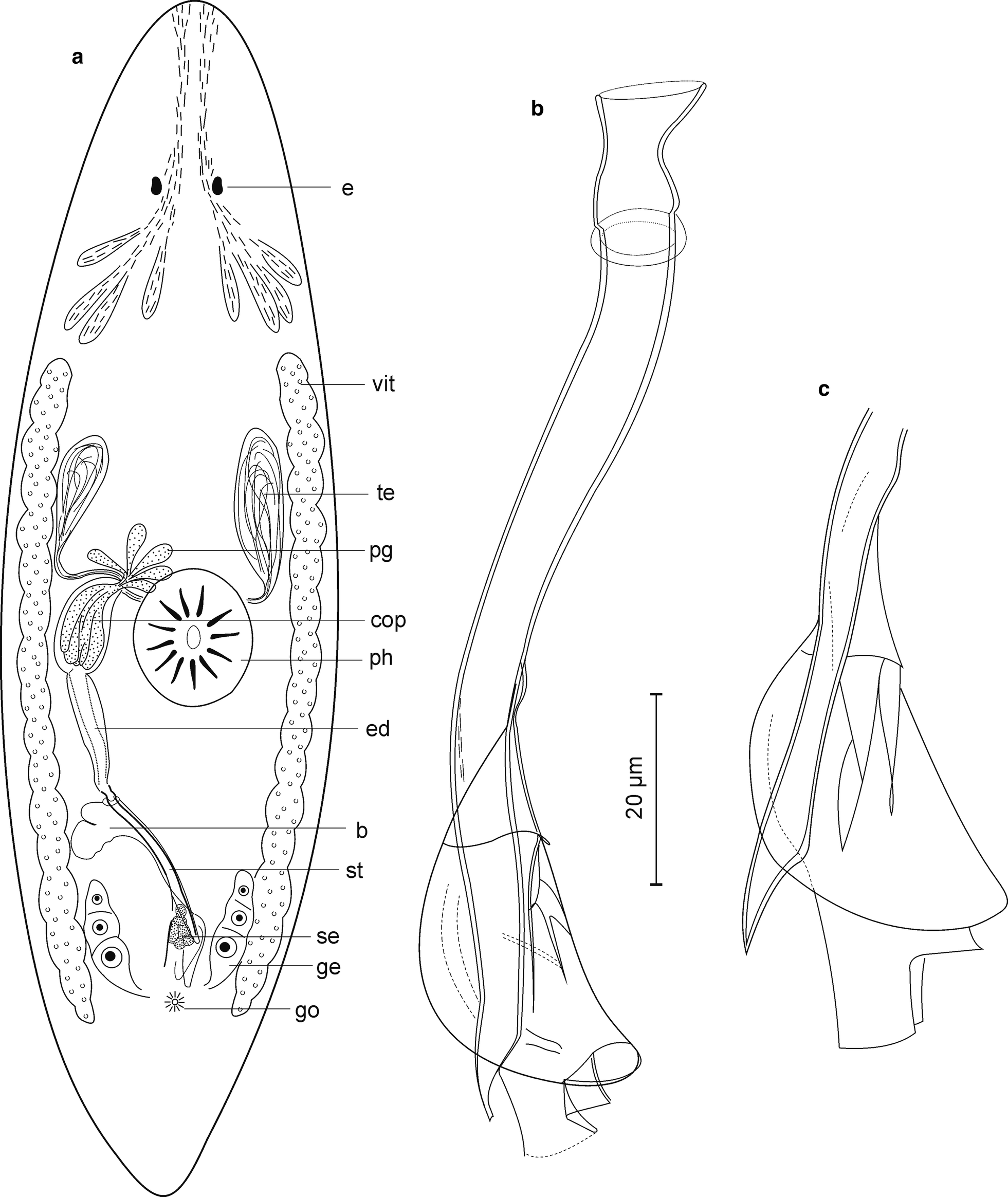 Fig. 11