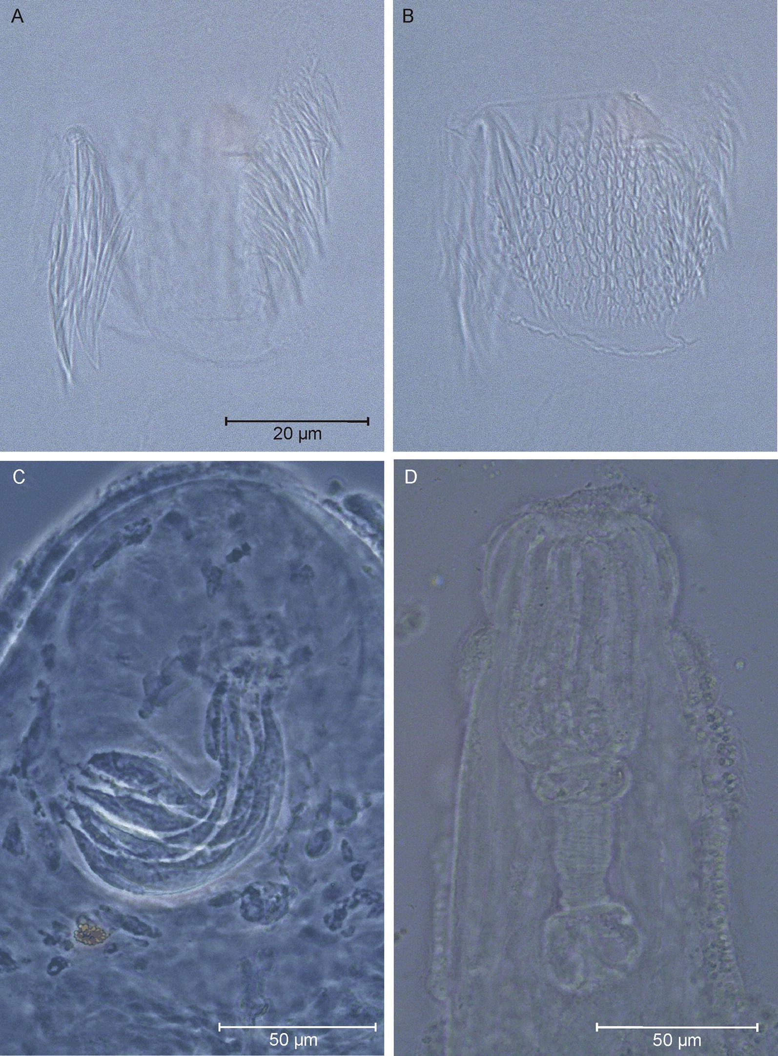 Fig. 14