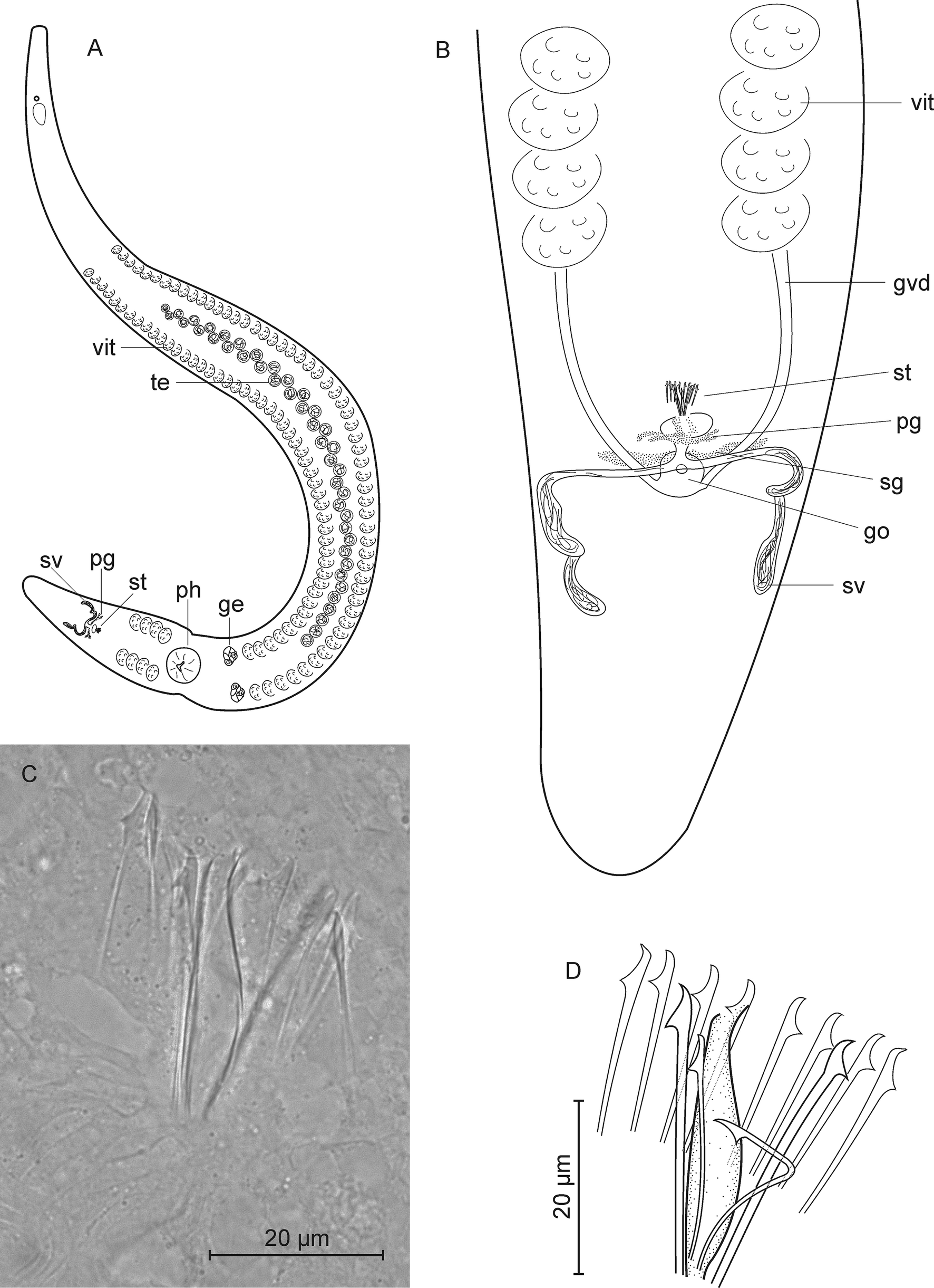 Fig. 5