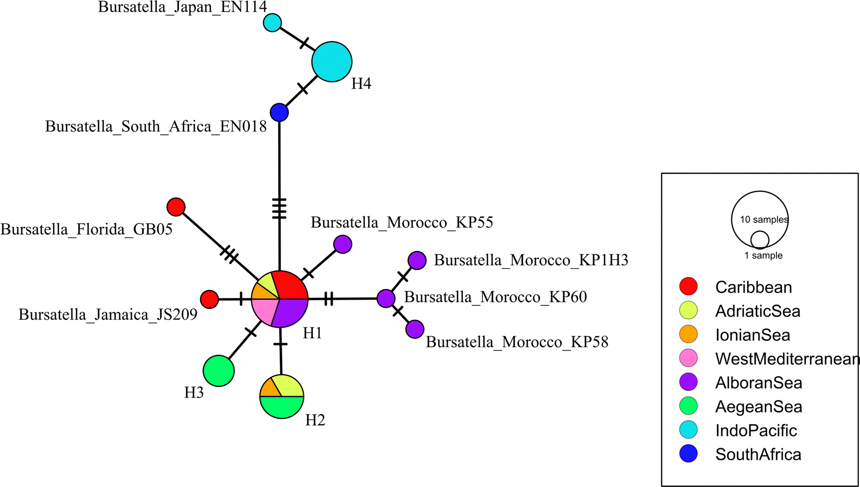 Fig. 3