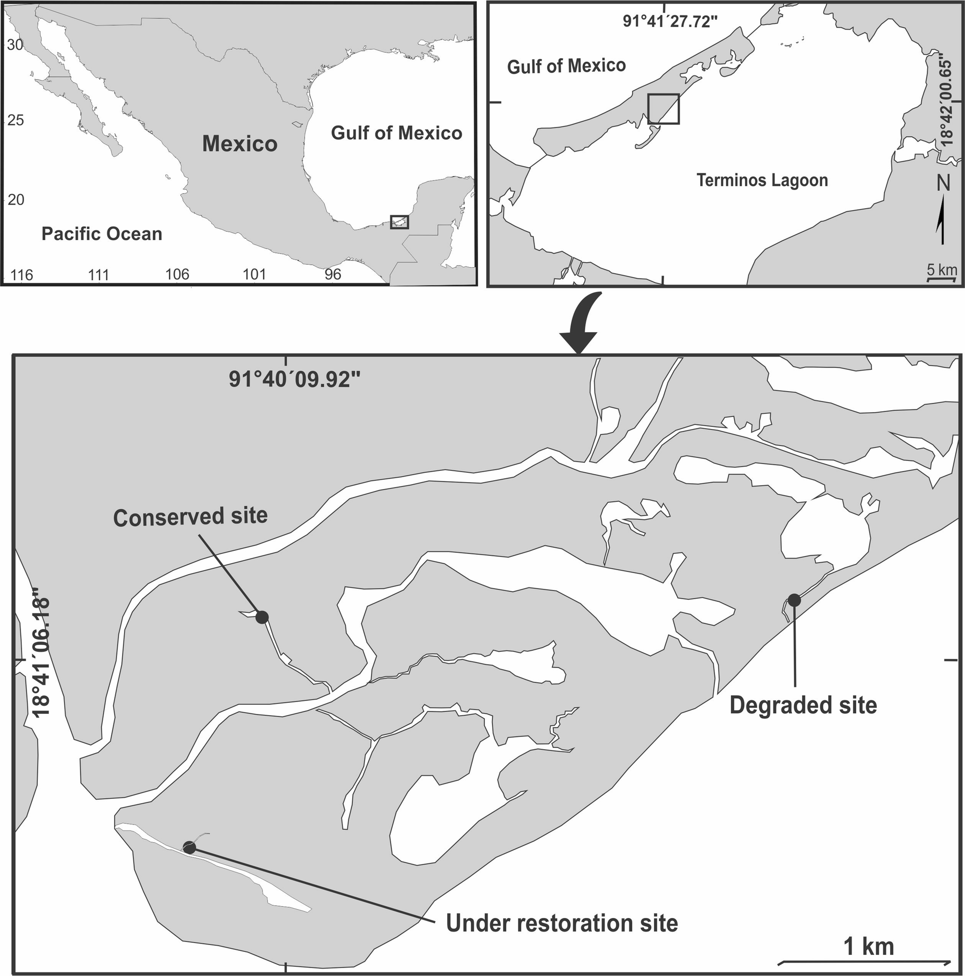 Fig. 1