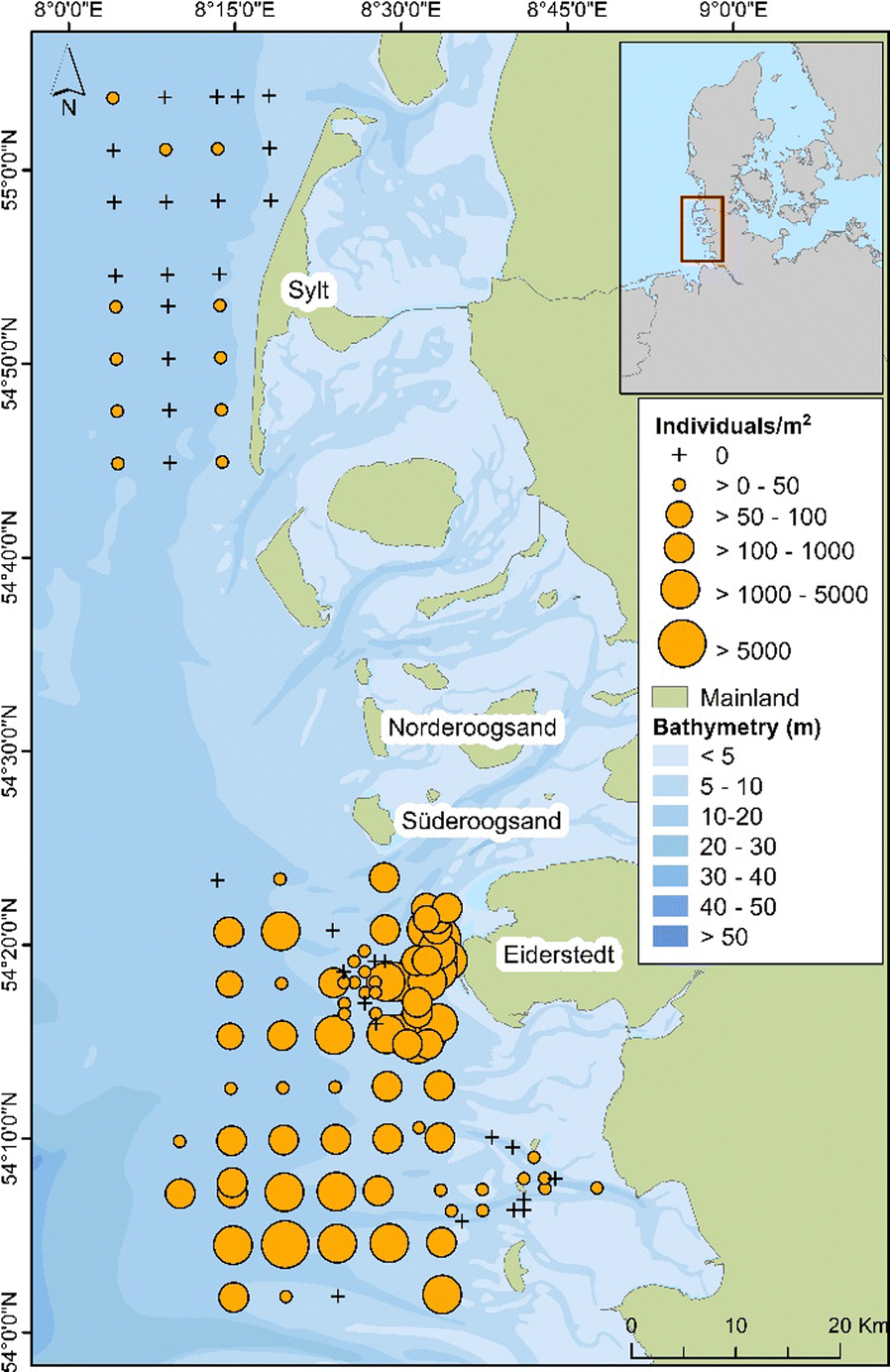 Fig. 1