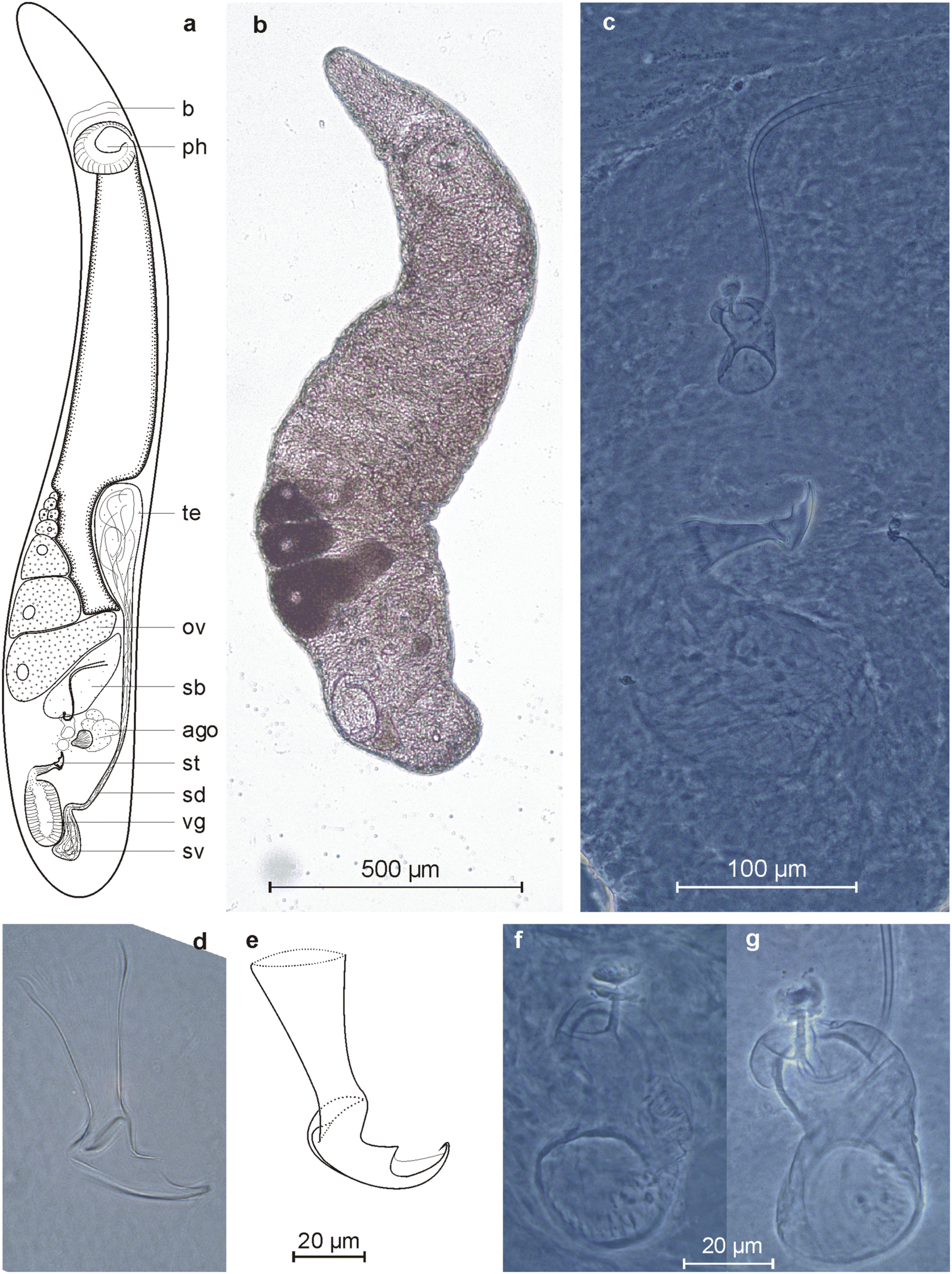 Fig. 2