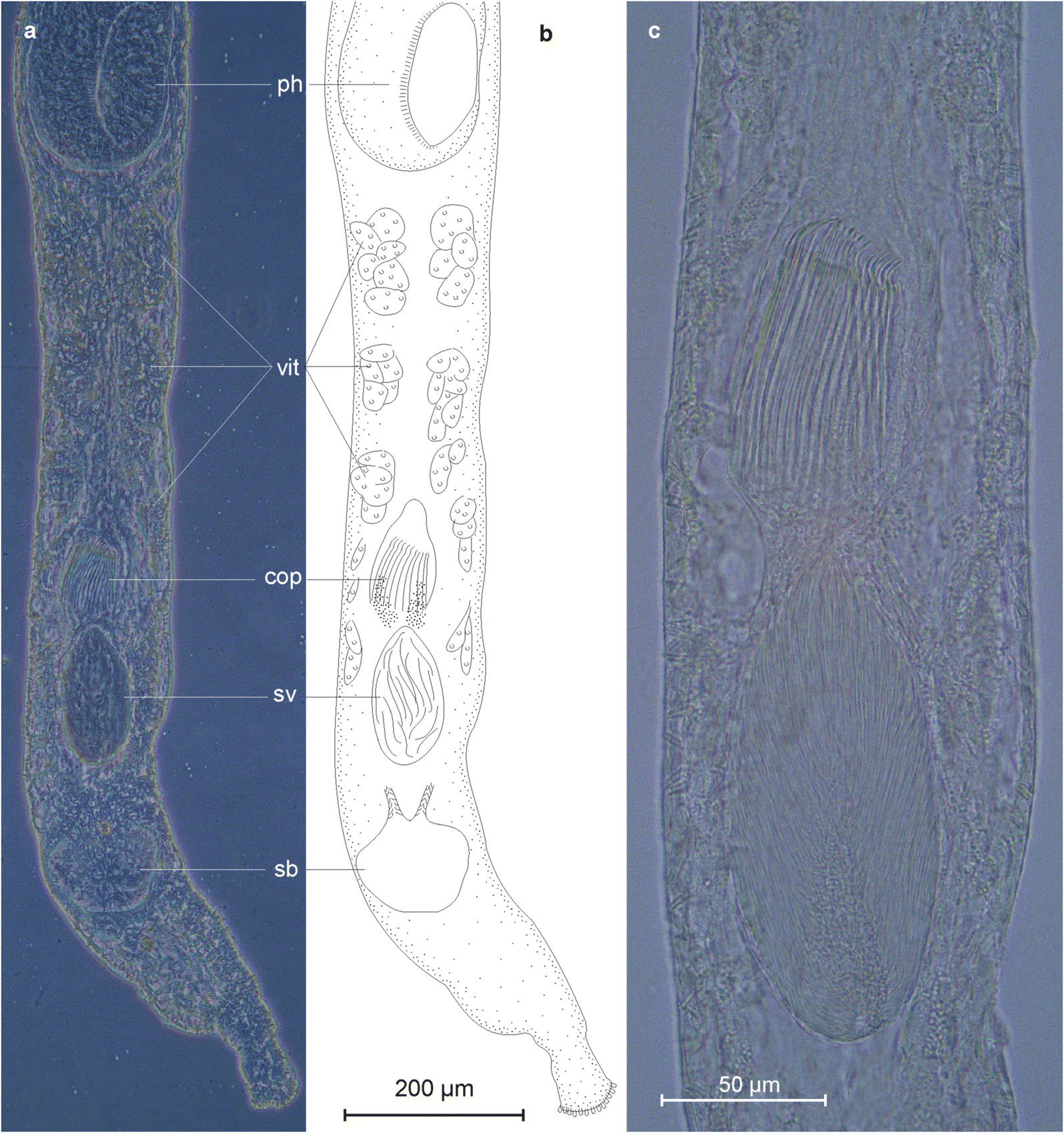 Fig. 5