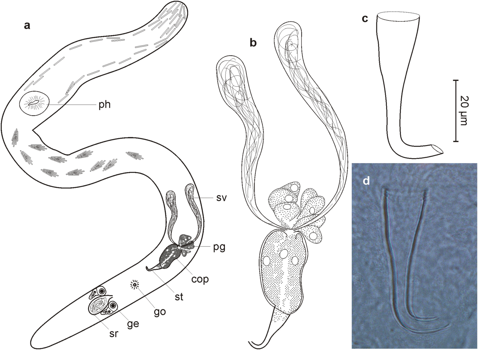 Fig. 8