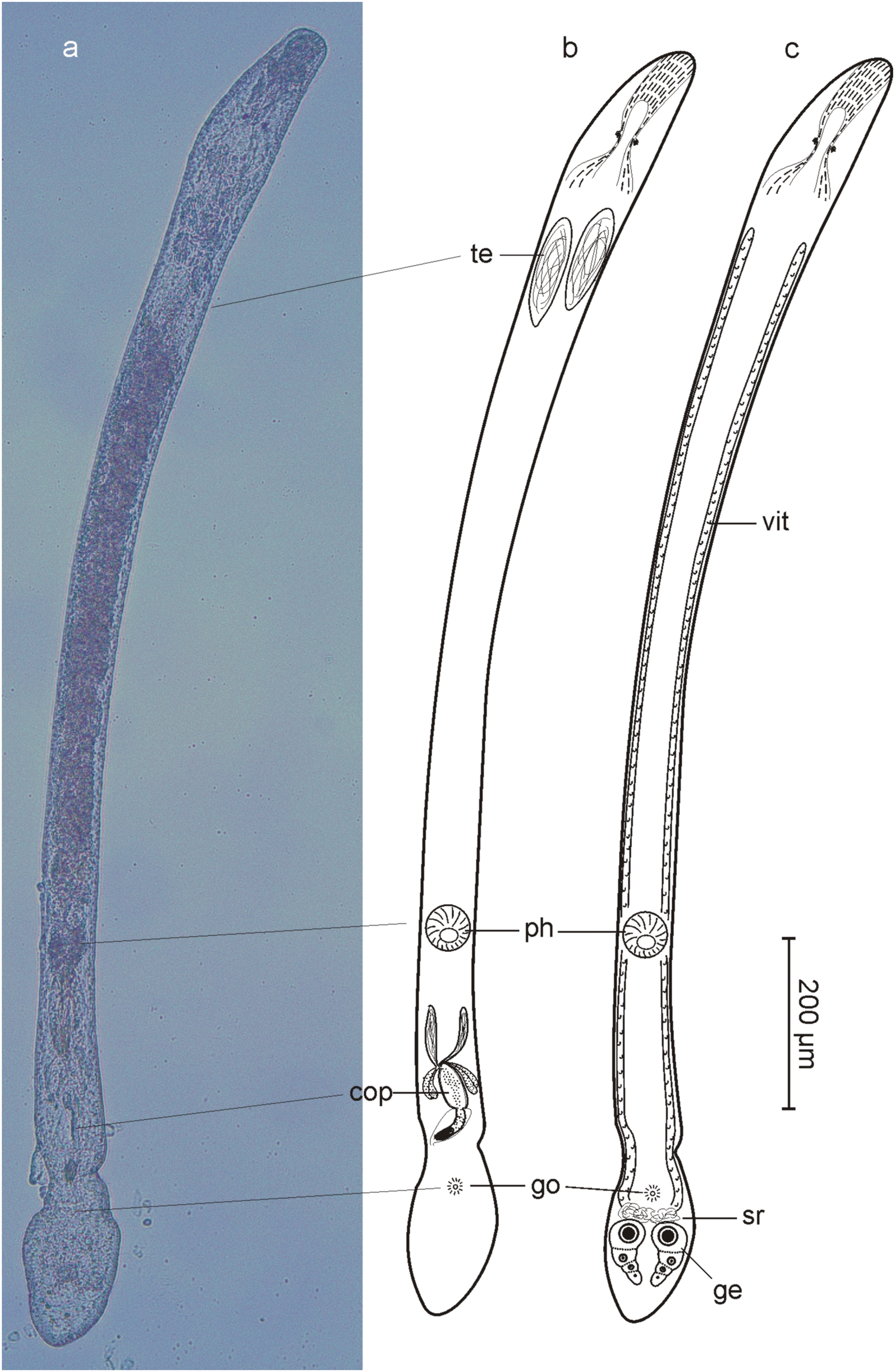 Fig. 9