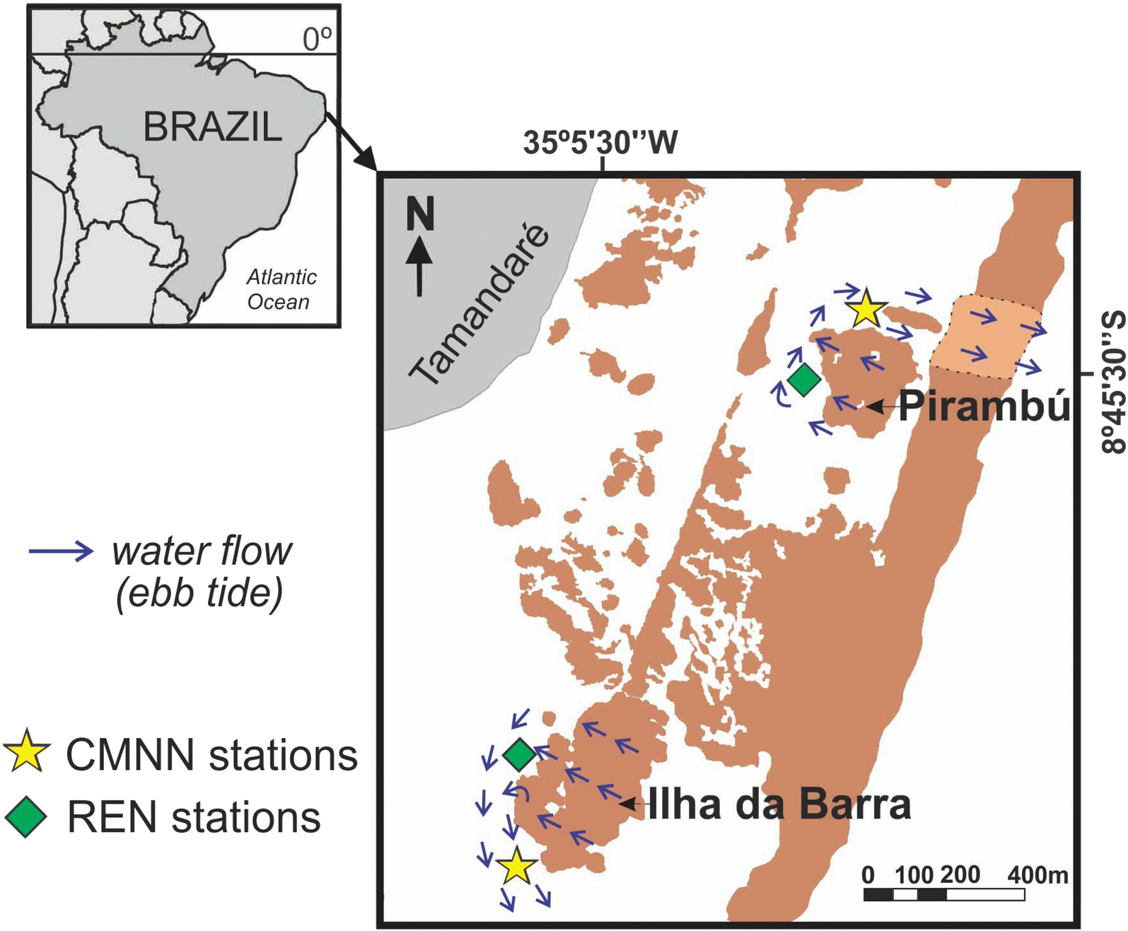 Fig. 1