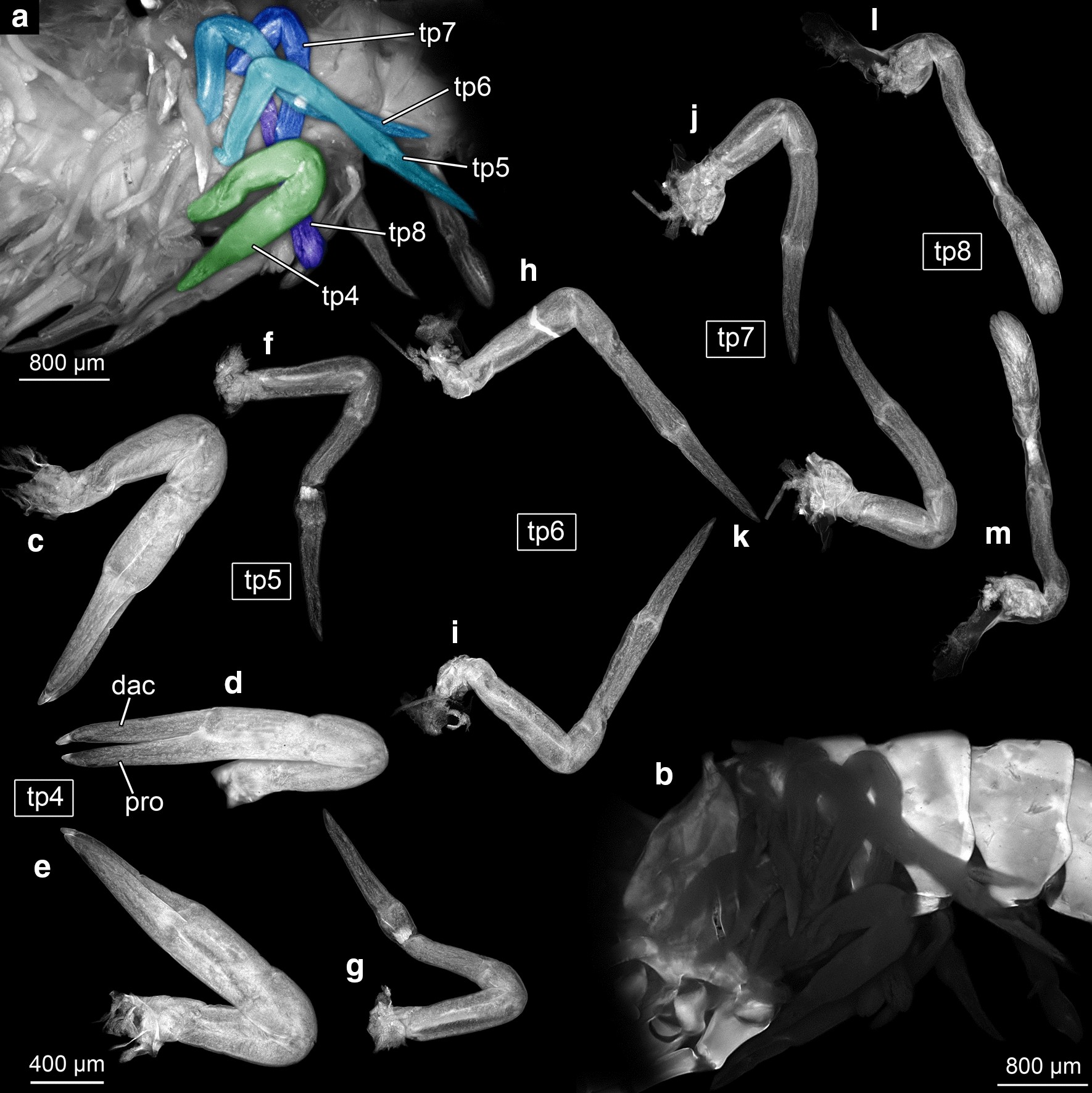 Fig. 15