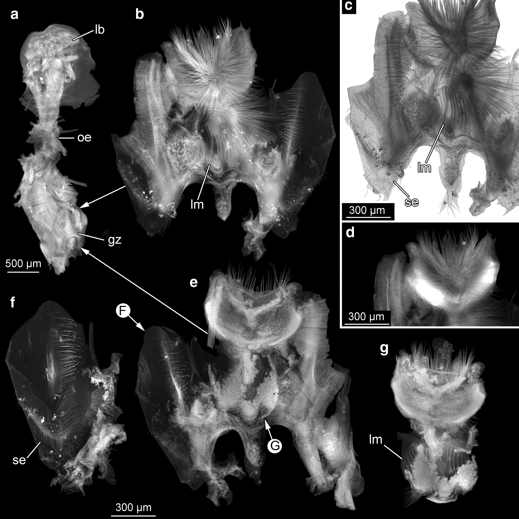 Fig. 17