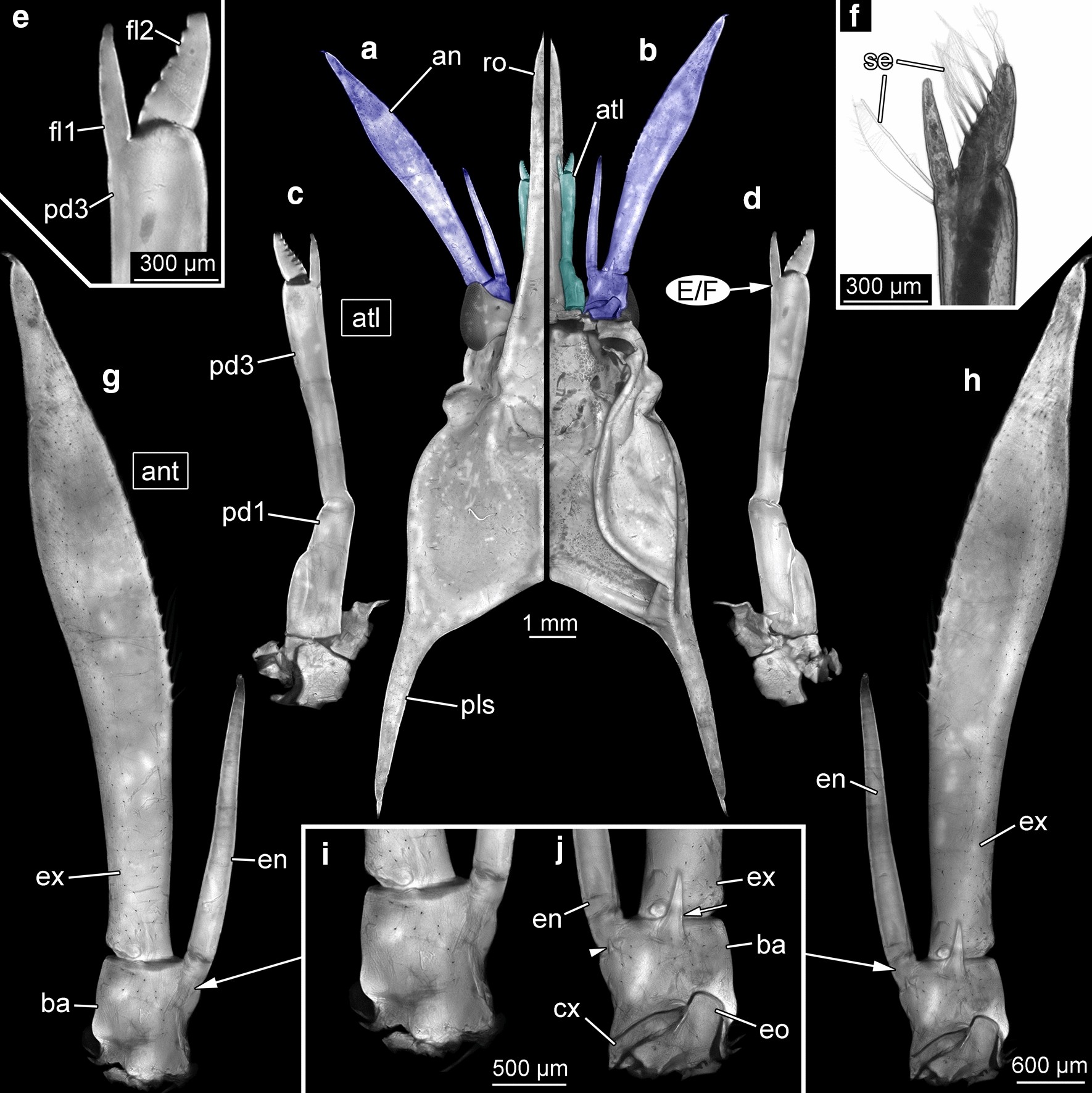 Fig. 8