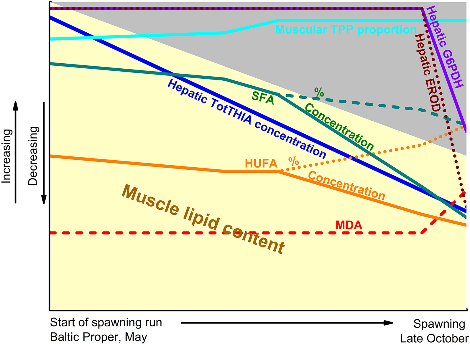 Fig. 9