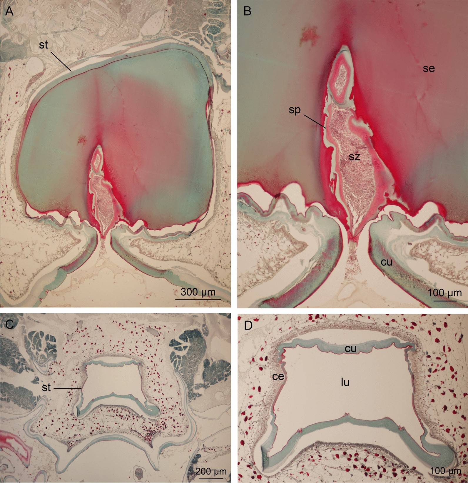 Fig. 8