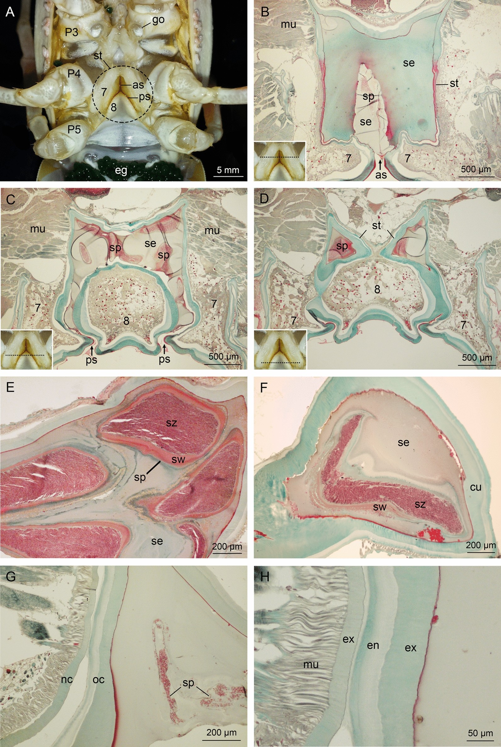 Fig. 9