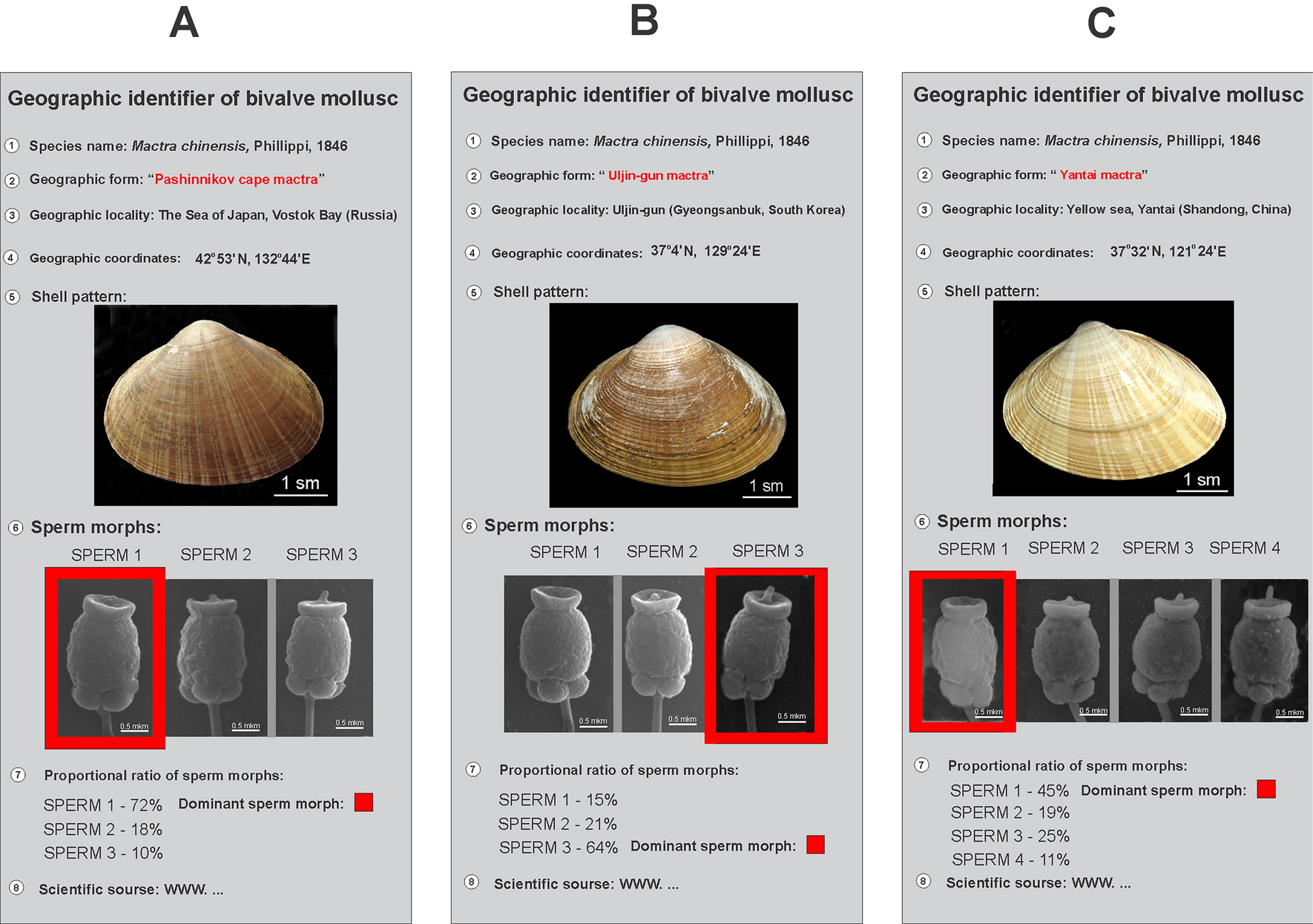 Fig. 11