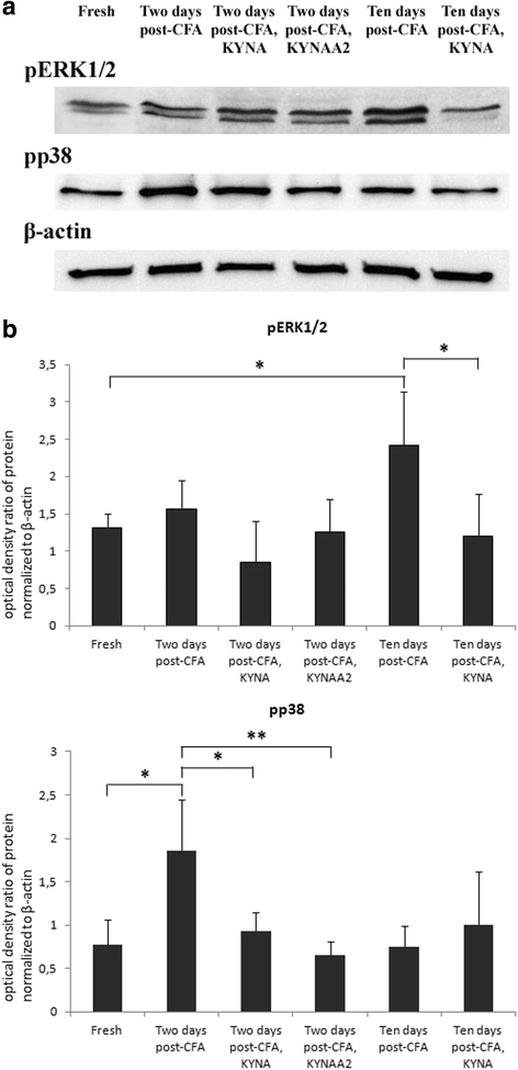 Fig. 11