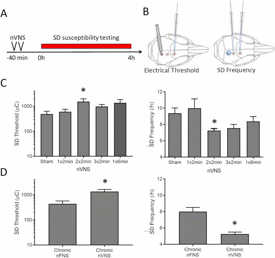 Fig. 1 (abstract O14).