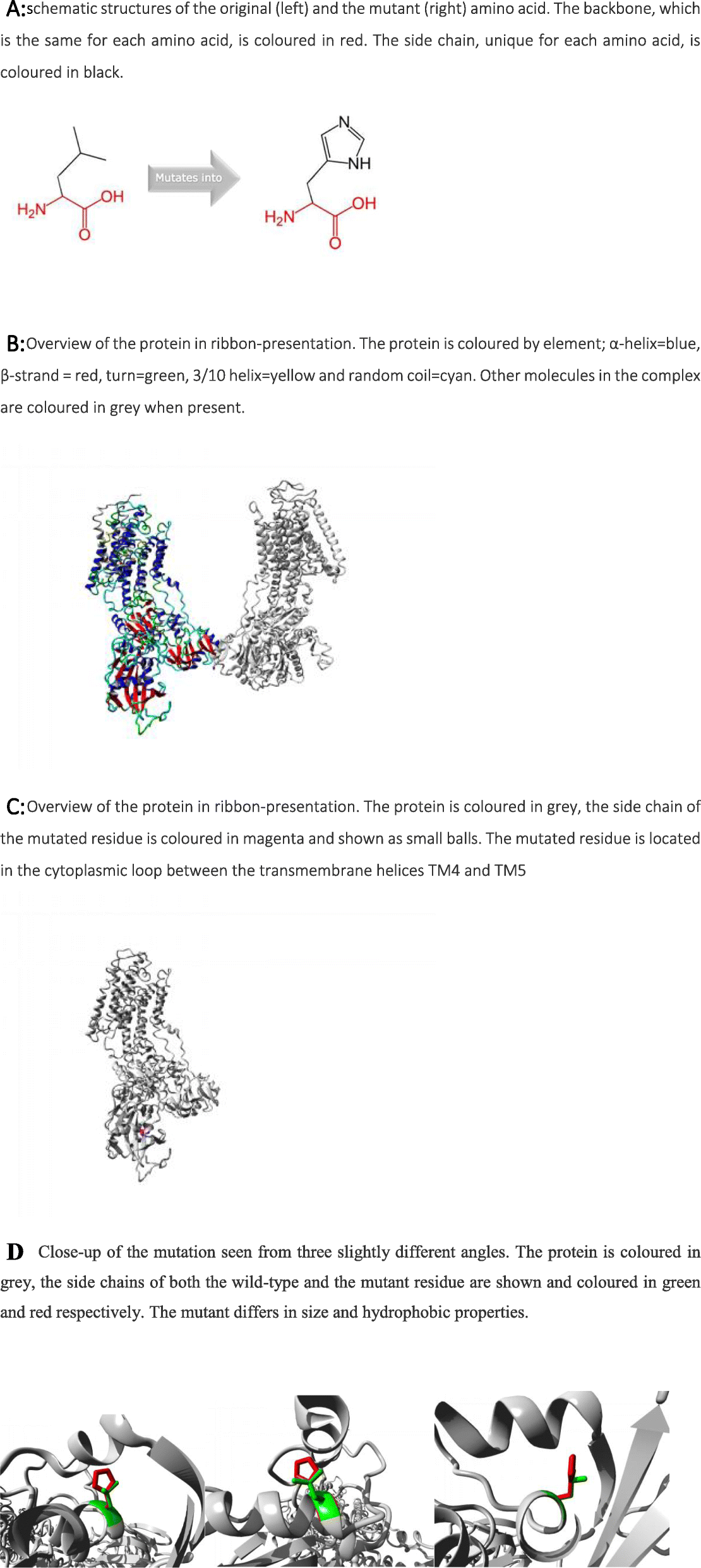 Fig. 2