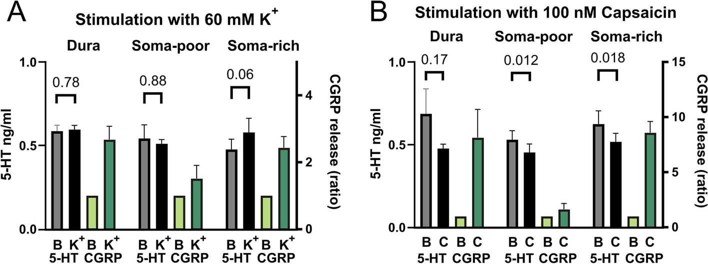 Fig. 11