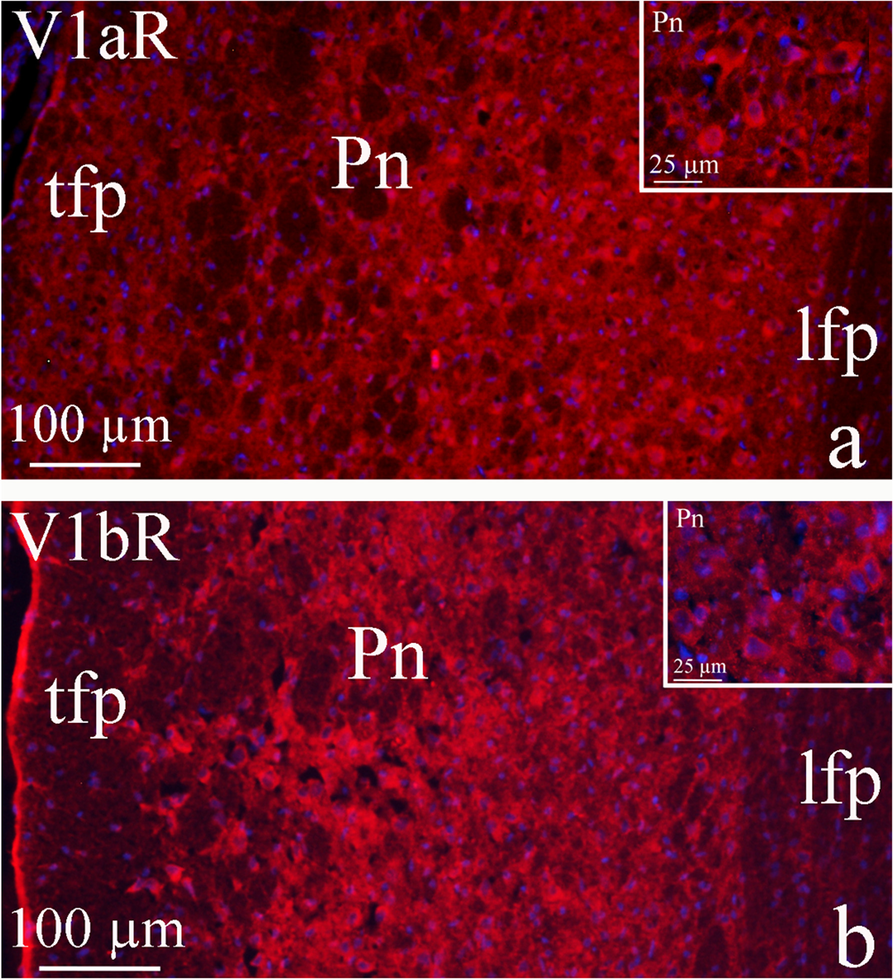 Fig. 10