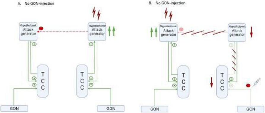 Fig. 1 (abstract P18).