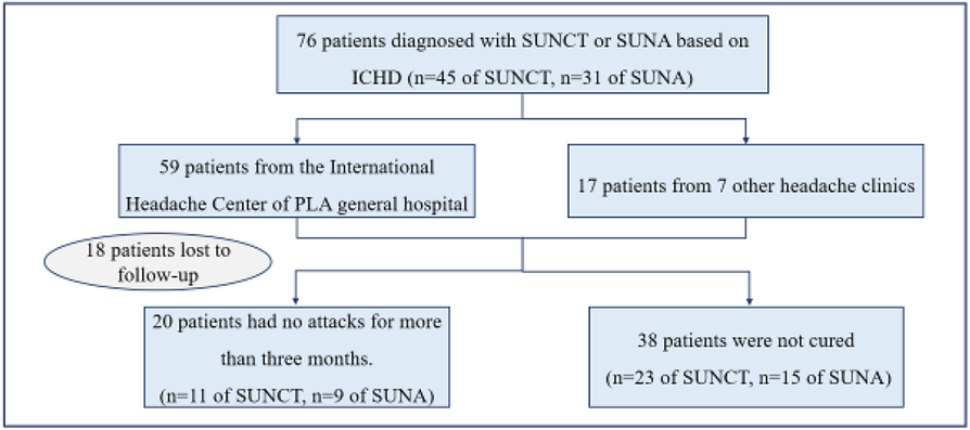 Fig. 1 (abstract P69).