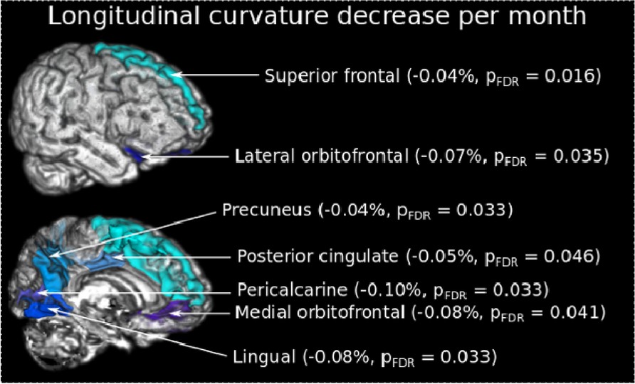 Fig. 2 (Abstract P206)