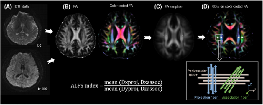 Fig. 1 (Abstract P224)