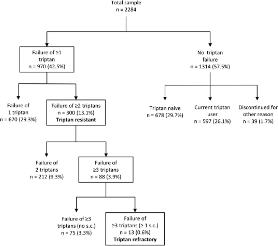 Fig. 1 (Abstract P006)