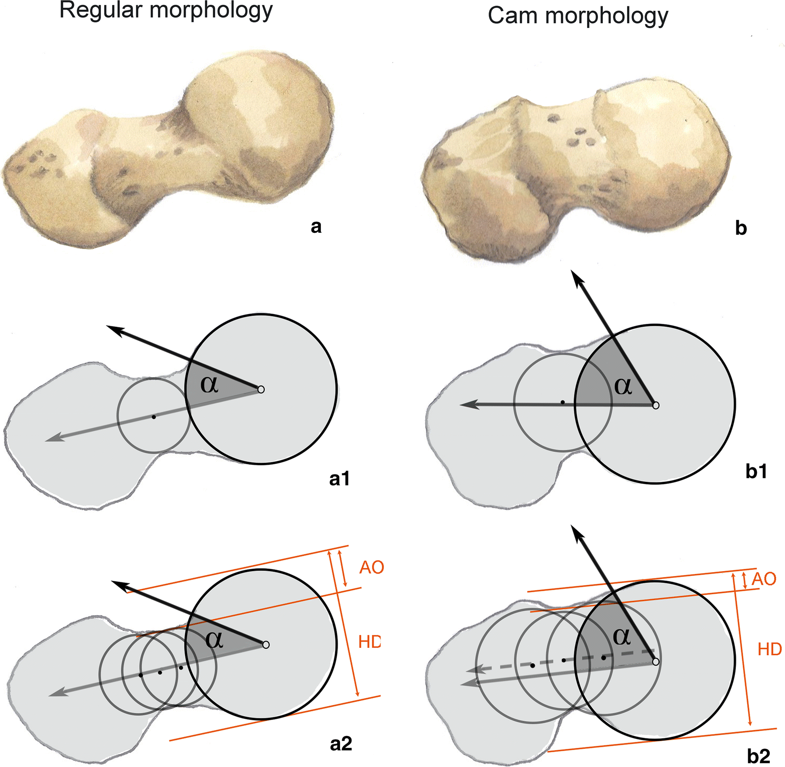 Fig. 2