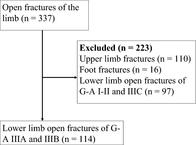 Fig. 1