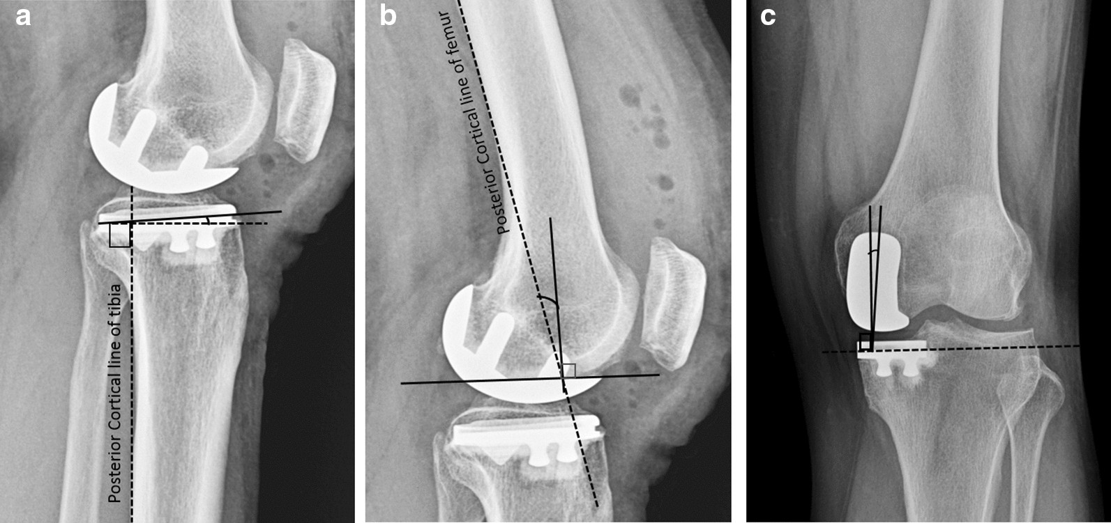 Fig. 4